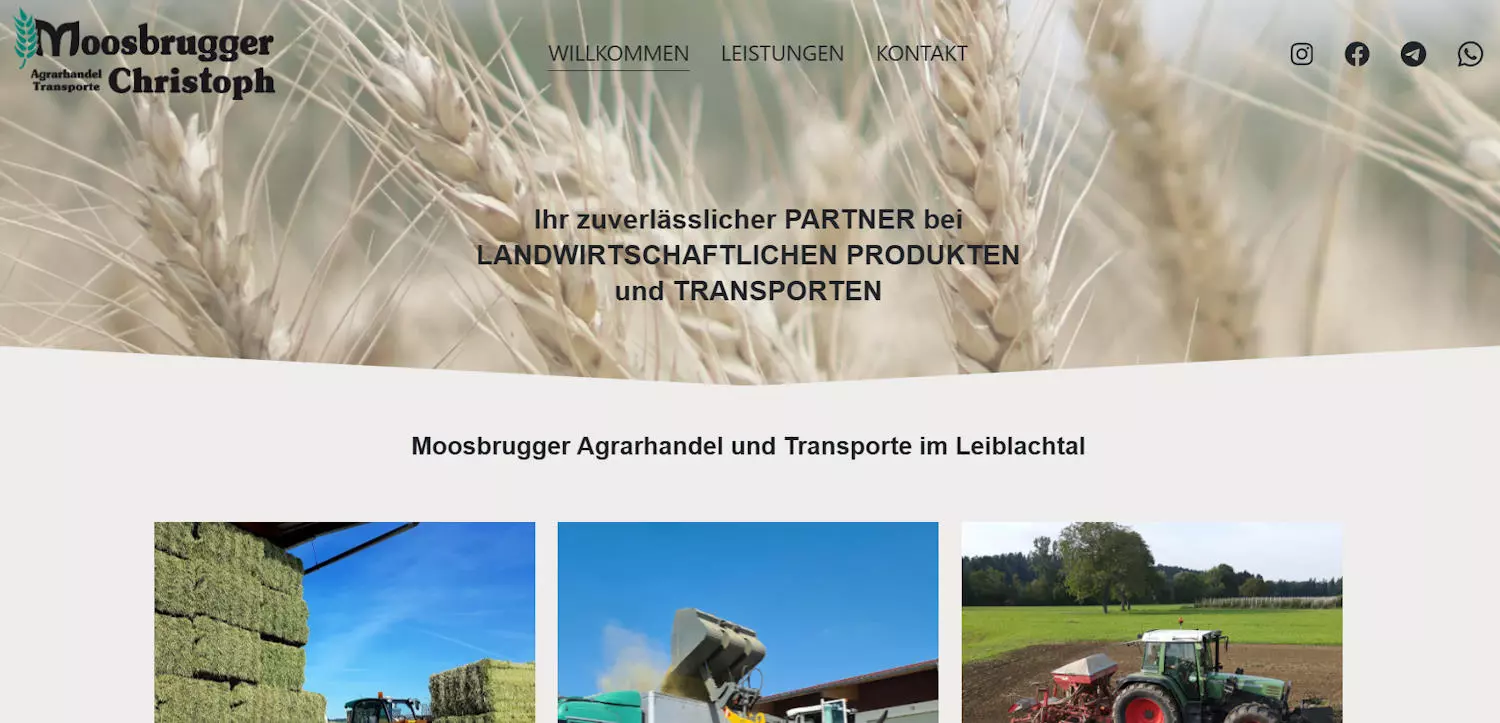 Website für Dienstleister, Igl-Webdesign, Österreich, Deutschland, Schweiz